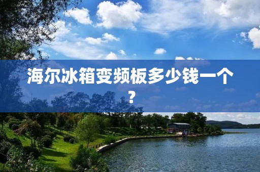 海尔冰箱变频板多少钱一个? 海尔冰箱变频板多少钱一个?
