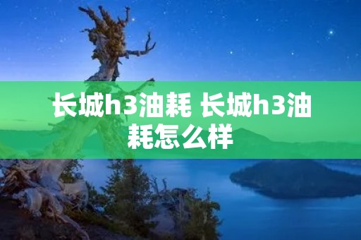 长城h3油耗 长城h3油耗怎么样