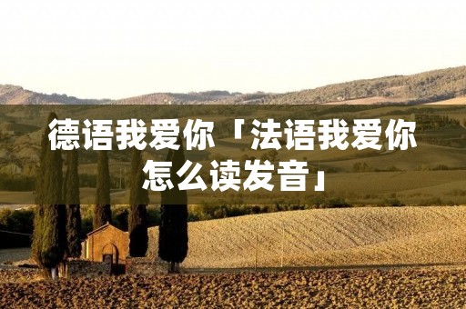 德语我爱你「法语我爱你怎么读发音」