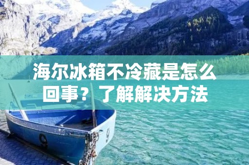 海尔冰箱不冷藏是怎么回事?了解解决方法 海尔冰箱不冷藏是怎么回事?了解解决方法