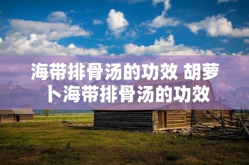 海带排骨汤的功效 胡萝卜海带排骨汤的功效 海带排骨汤的功效 胡萝卜海带排骨汤的功效