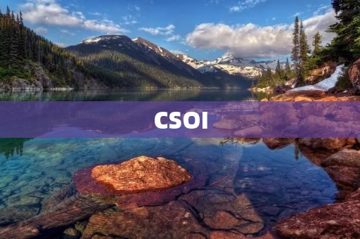 CSOI:为企业带来数字化转型的机遇与挑战