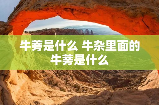 牛蒡是什么 牛杂里面的牛蒡是什么