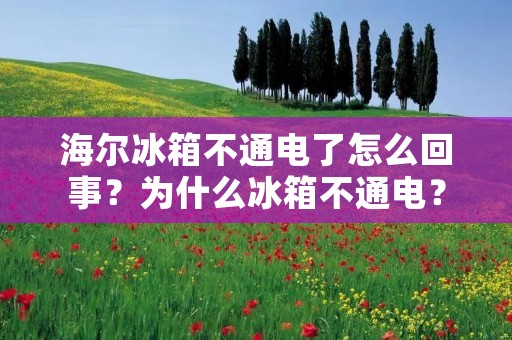 海尔冰箱不通电了怎么回事?为什么冰箱不通电?如何解决? 海尔冰箱不通电了怎么回事?为什么冰箱不通电?如何解决?