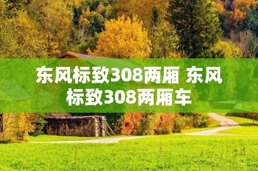 东风标致308两厢 东风标致308两厢车