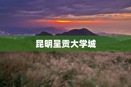 昆明呈贡大学城:打造现代化的高等教育圣地