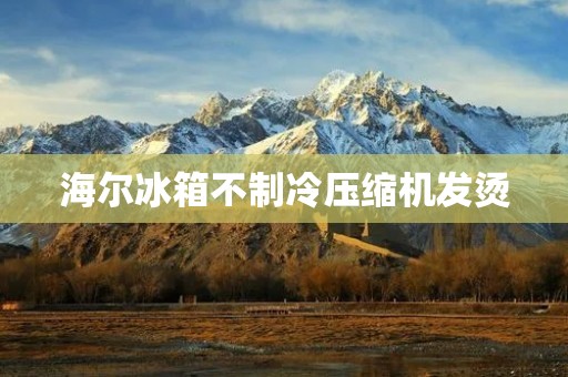 海尔冰箱不制冷压缩机发烫:原因及解决方法 海尔冰箱不制冷压缩机发烫:原因及解决方法