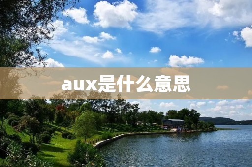 aux是什么意思