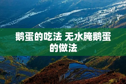鹅蛋的吃法 无水腌鹅蛋的做法