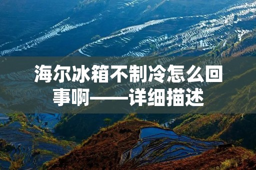 海尔冰箱不制冷怎么回事啊——详细描述 海尔冰箱不制冷怎么回事啊——详细描述