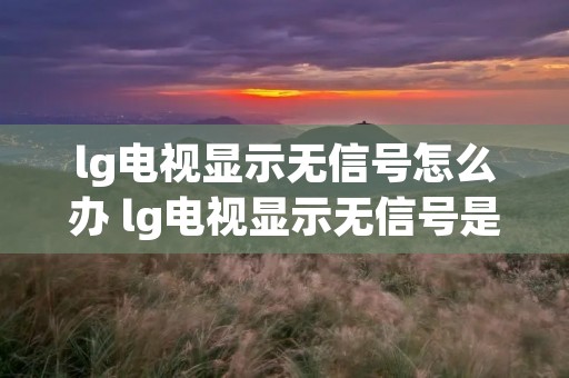 lg电视显示无信号怎么办 lg电视显示无信号是怎么回事