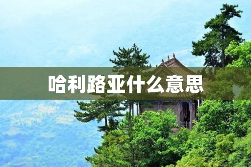 哈利路亚什么意思