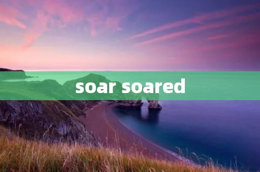 soar soared
