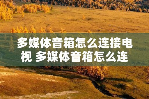 多媒体音箱怎么连接电视 多媒体音箱怎么连接手机蓝牙 多媒体音箱怎么连接电视 多媒体音箱怎么连接手机蓝牙