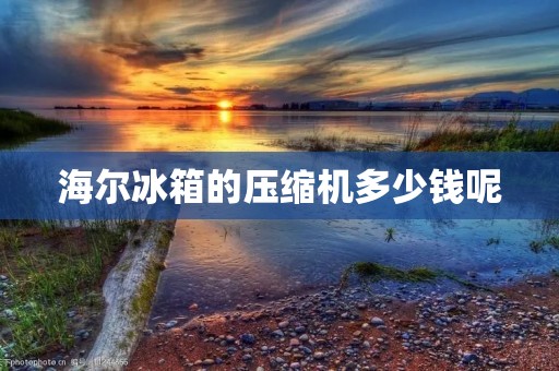 海尔冰箱的压缩机多少钱呢