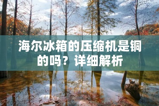 海尔冰箱的压缩机是铜的吗?详细解析 海尔冰箱的压缩机是铜的吗?详细解析