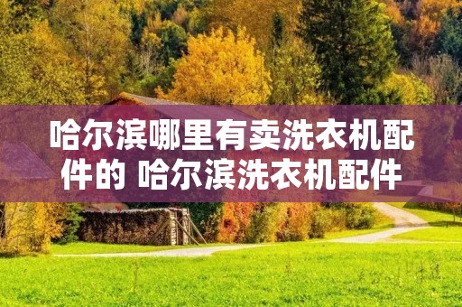 哈尔滨哪里有卖洗衣机配件的 哈尔滨洗衣机配件批发市场