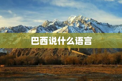 巴西说什么语言