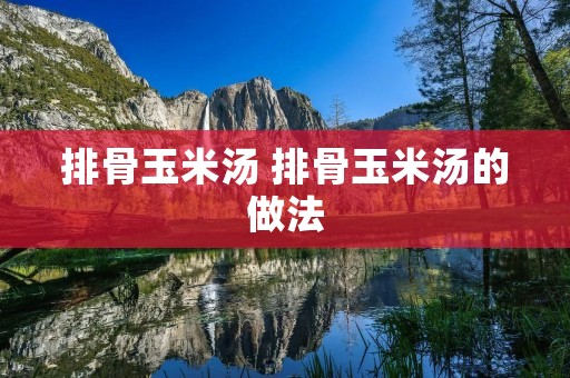 排骨玉米汤 排骨玉米汤的做法