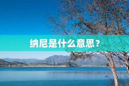 纳尼是什么意思?