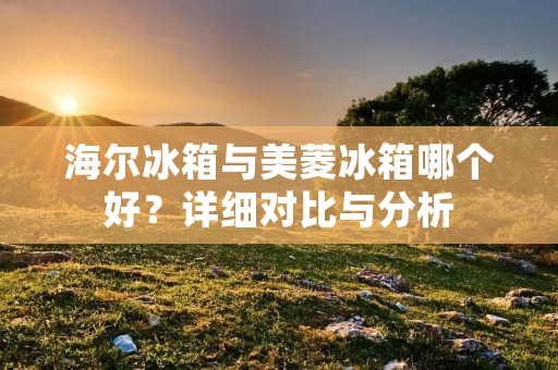 海尔冰箱与美菱冰箱哪个好？详细对比与分析