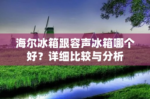 海尔冰箱跟容声冰箱哪个好?详细比较与分析 海尔冰箱跟容声冰箱哪个好?详细比较与分析
