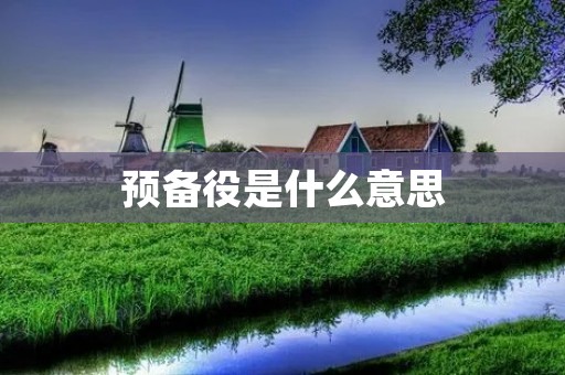 预备役是什么意思