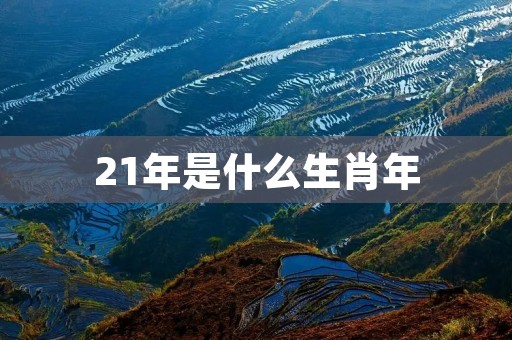 21年是什么生肖年