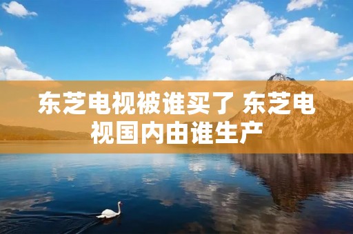 东芝电视被谁买了 东芝电视国内由谁生产 东芝电视被谁买了 东芝电视国内由谁生产