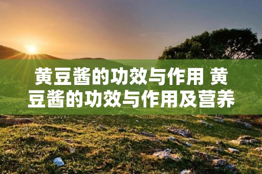 黄豆酱的功效与作用 黄豆酱的功效与作用及营养价值及禁忌