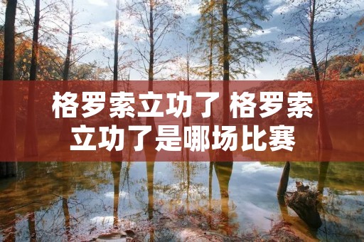 格罗索立功了 格罗索立功了是哪场比赛