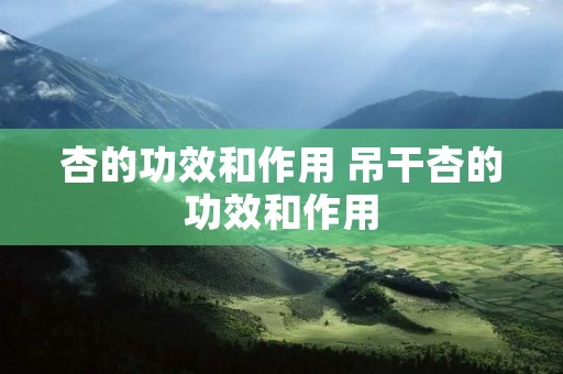 杏的功效和作用 吊干杏的功效和作用
