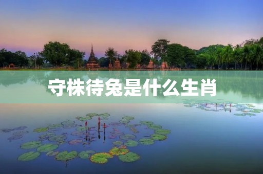 守株待兔是什么生肖