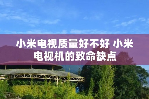 小米电视质量好不好 小米电视机的致命缺点 小米电视质量好不好 小米电视机的致命缺点