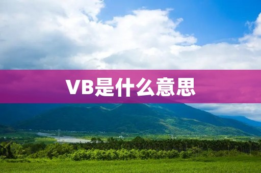 VB是什么意思 VB是什么意思