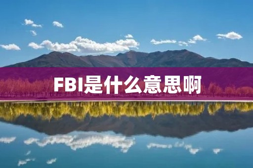 FBI是什么意思啊 FBI是什么意思啊