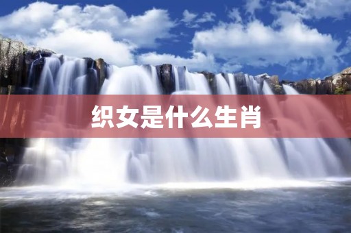 织女是什么生肖