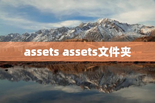 assets assets文件夹