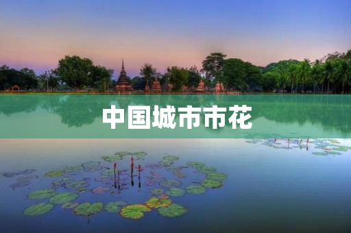 中国城市市花:美丽之都的花海盛宴