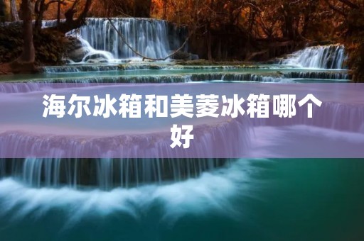 海尔冰箱和美菱冰箱哪个好:全面对比与评估 海尔冰箱和美菱冰箱哪个好:全面对比与评估