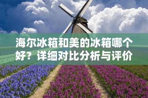海尔冰箱和美的冰箱哪个好?详细对比分析与评价 海尔冰箱和美的冰箱哪个好?详细对比分析与评价