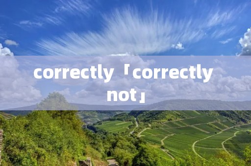 correctly「correctly not」 correctly「correctly not」