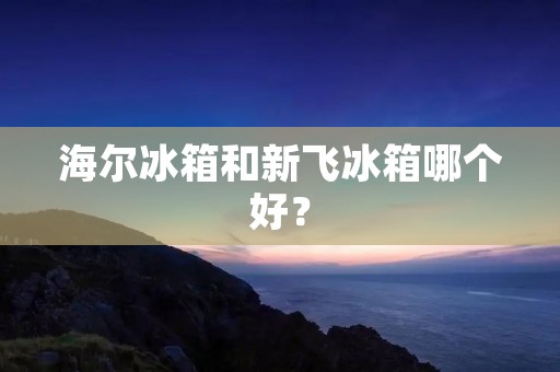 海尔冰箱和新飞冰箱哪个好？