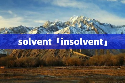 solvent「insolvent」