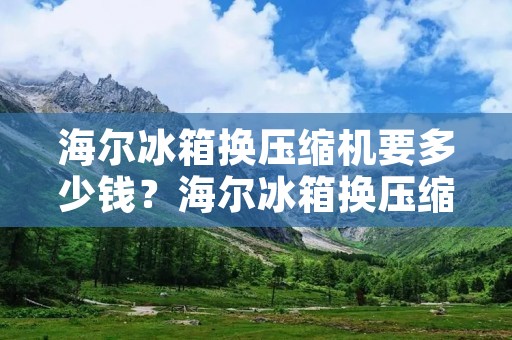 海尔冰箱换压缩机要多少钱？海尔冰箱换压缩机价格解析