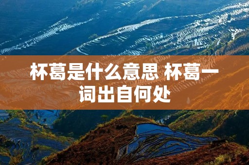 杯葛是什么意思 杯葛一词出自何处 杯葛是什么意思 杯葛一词出自何处