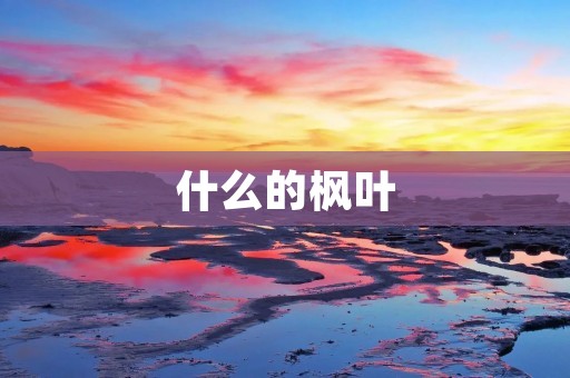 什么的枫叶