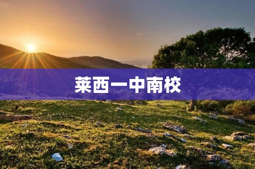 莱西一中南校:培养未来的精英教育殿堂