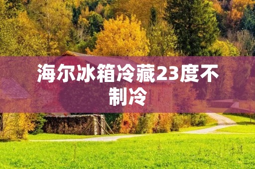 海尔冰箱冷藏23度不制冷:原因与解决方法 海尔冰箱冷藏23度不制冷:原因与解决方法