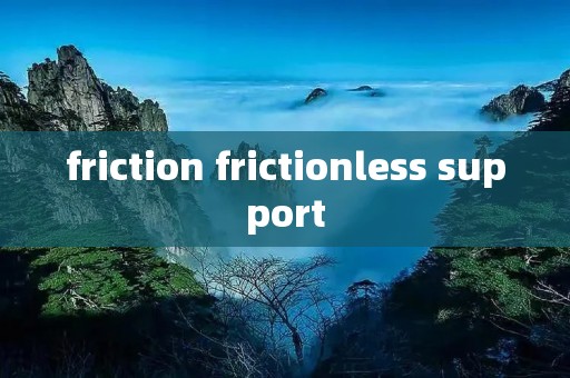 friction frictionless support